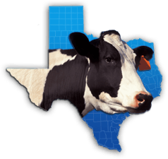 Texas milk production booming, thanks to many