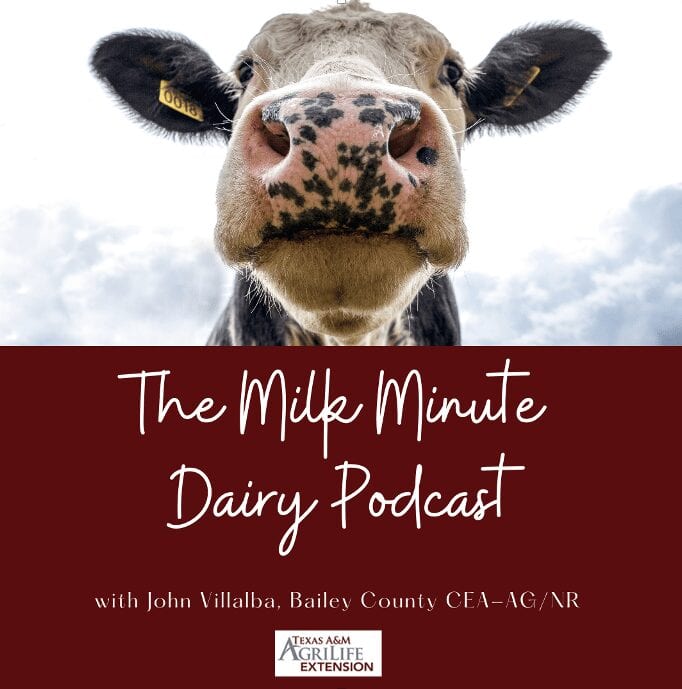 Texas extension agent launches Milk Minute Dairy Podcast