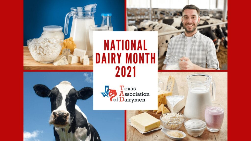 National Dairy Month 2021: Surviving the lows and celebrating the highs of the past year